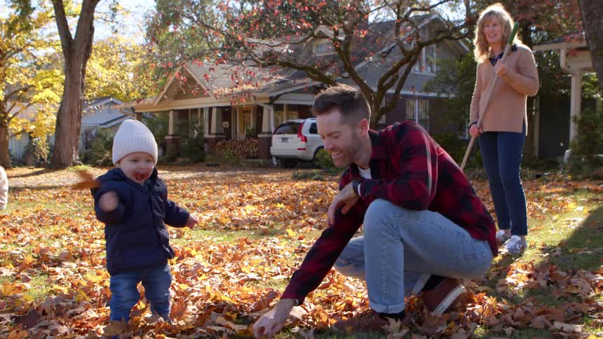 In a familys yard in the fall a toddler picks up a dead leaf and waves it around