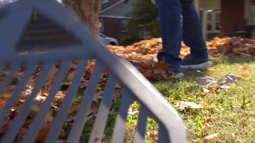 Person cleaning the garden