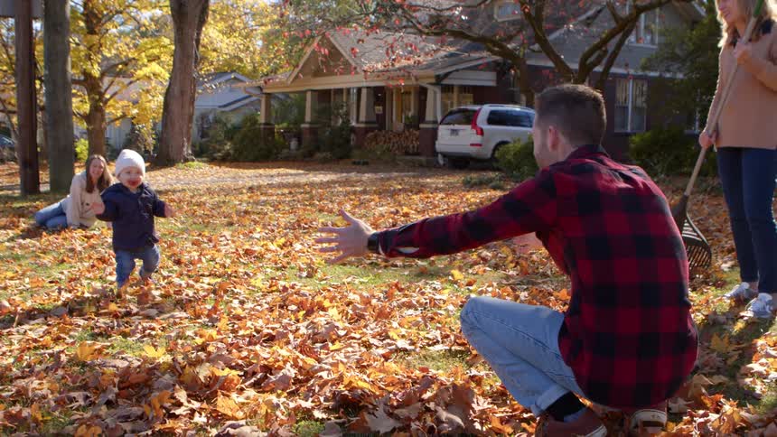 Male toddler staggers while happily walking towards his dad outdoors on a lawn covered with fallen leaves