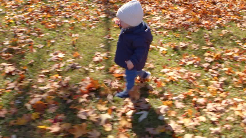 Toddler runs through autumn leaves on a sunny day