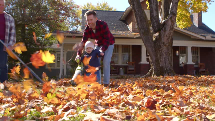 A family cleans the yard on a sunny autumn day having fun as a father helps his toddler with a leaf blower
