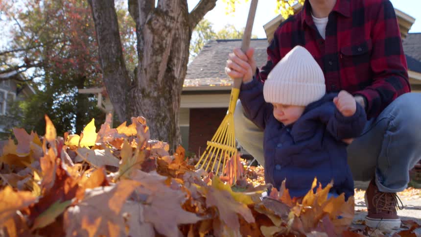 Father and young child playing together in fallen autumn leaves in front of a house