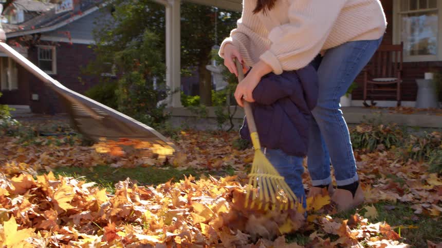 Family in a backyard with dry leaves falling