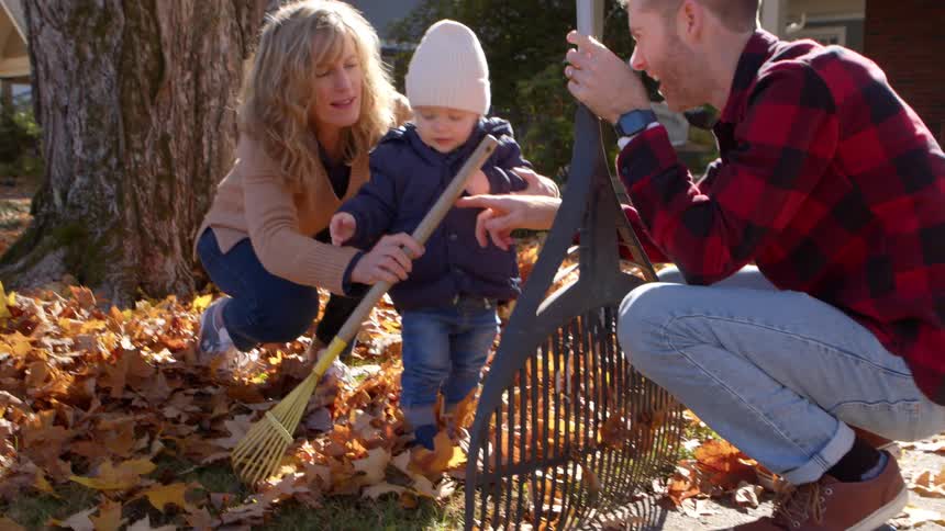 Parents show their son how to take leaves