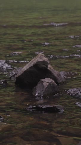 A few rocks protrude above the surface of a shallow creek
