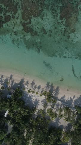 A beach near a coral reef