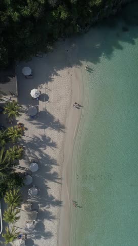 People walk on a beach located near a forest during the daytime