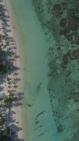 A beach near a coral reef