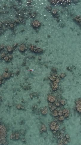 A person floats on a surfboard in clear shallow water above a patchwork of coral formations