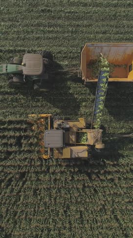 A tractor pulls a wagon while a harvester fills it with crops