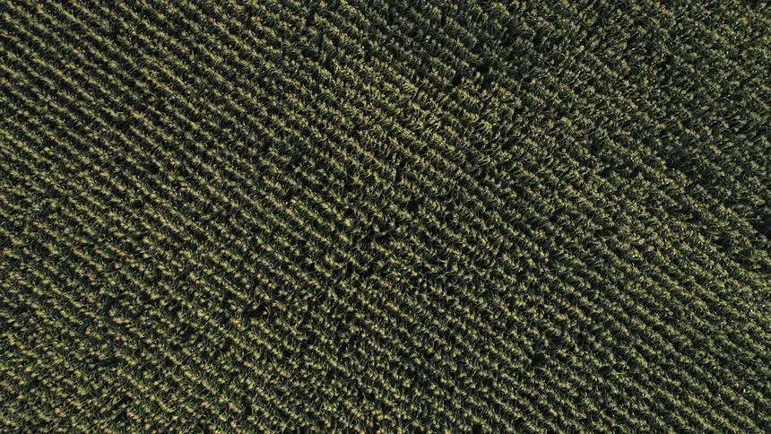 Aerial view of an agricultural field