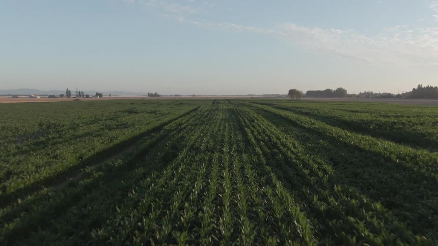 Flying over a large field