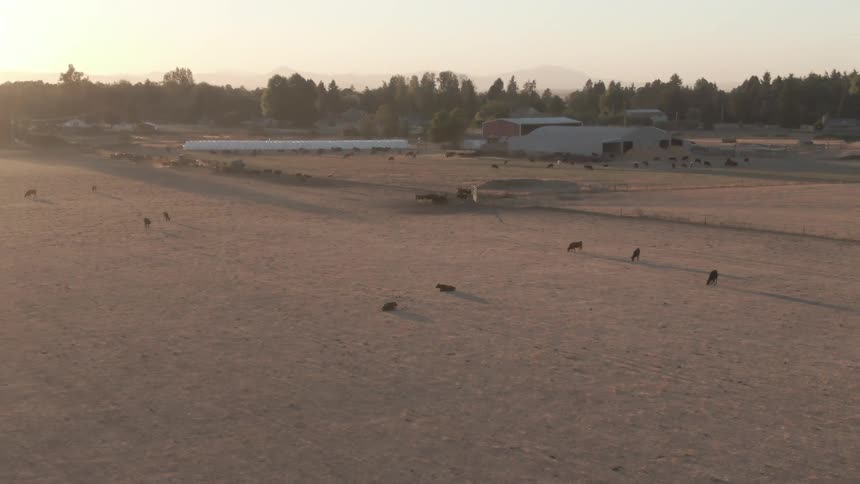 Animals on a farm with the silhouette of mountains on the horizon
