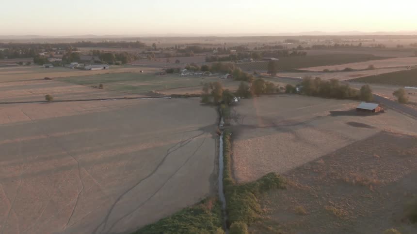 Aerial view of agricultural fields at dawn