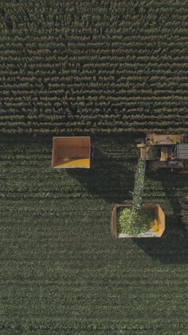 Aerial view of farming machinery harvesting crops and loading them into trucks