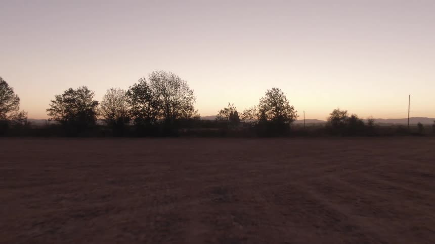 Trees on the edge of a field stand silhouetted against the red horizon