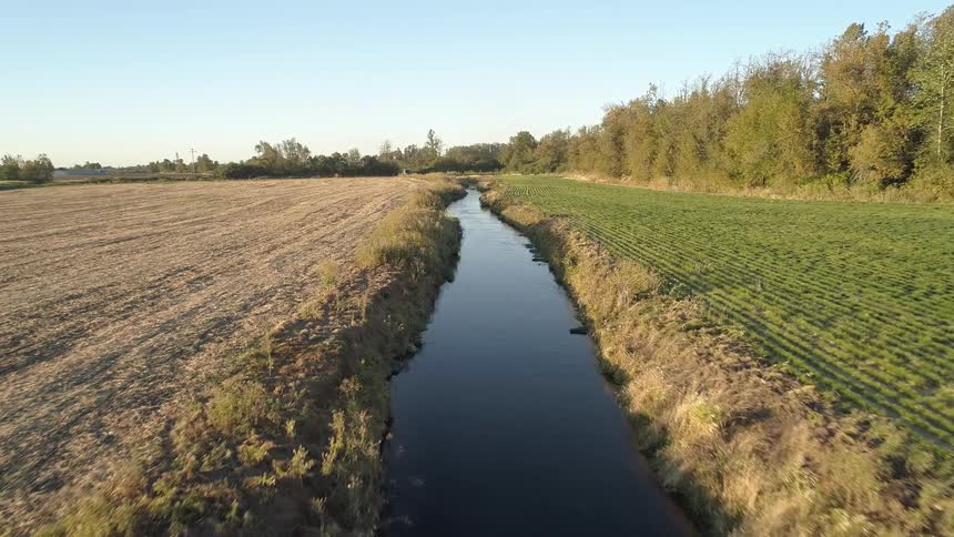Narrow river in an agricultural area with trees around