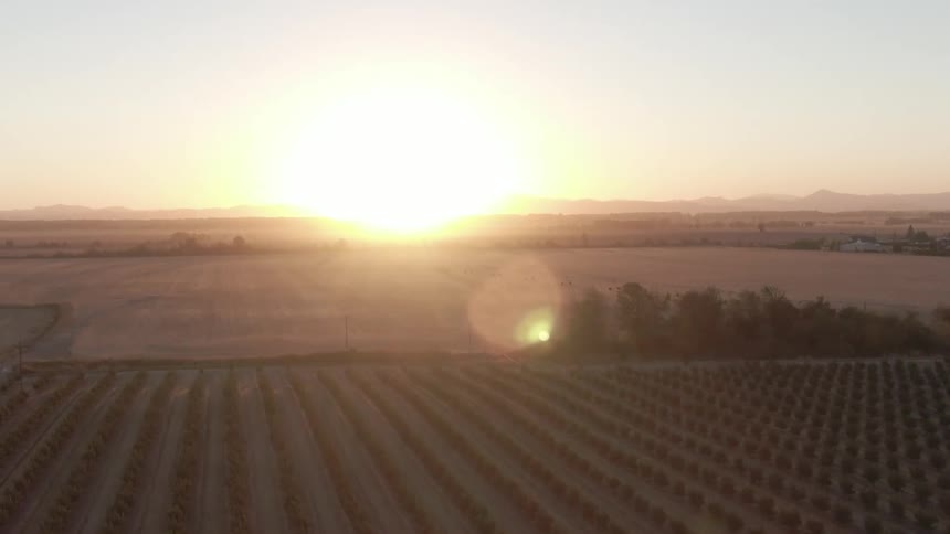 Sun rises over a vast rural farmland with neat crop rows