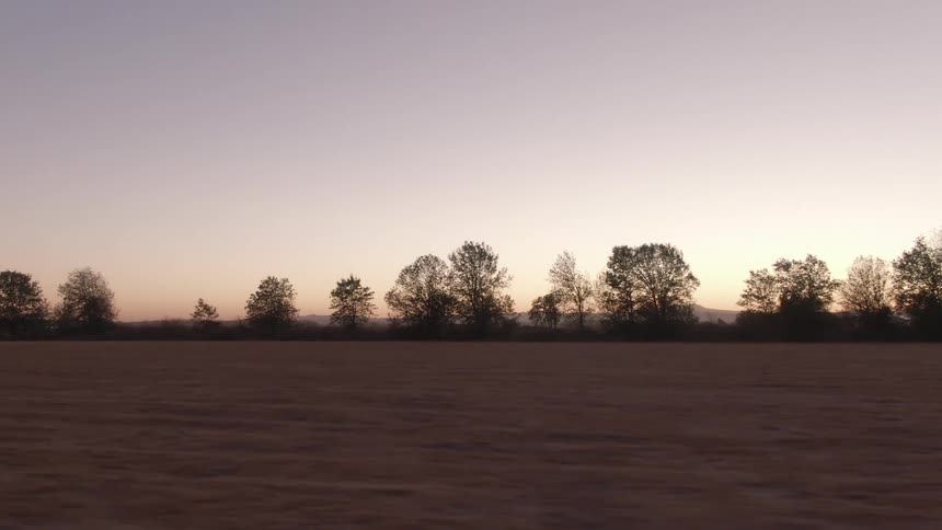 Silhouetted trees line a flat open field at dusk seen from a moving vehicle