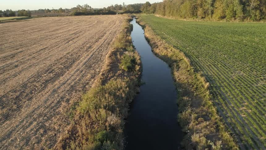 A small stream runs through the farm