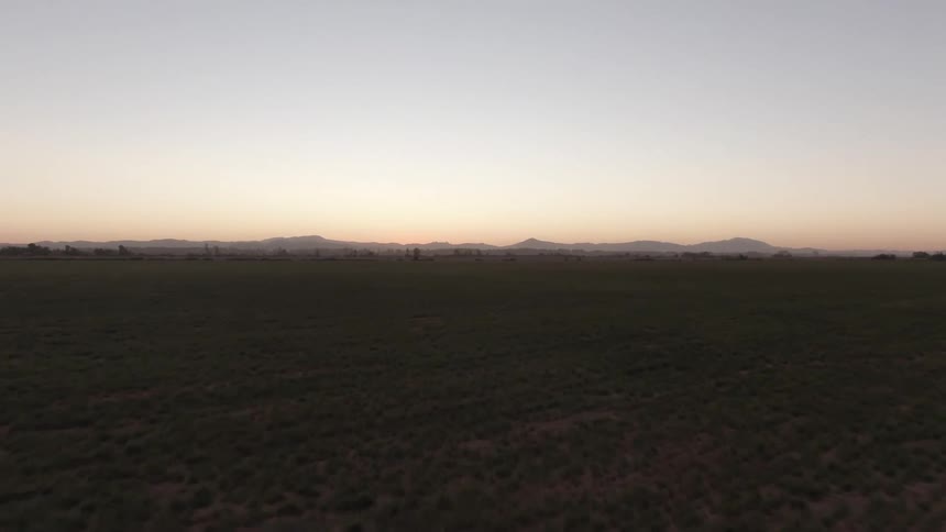 The landscape is green and flat