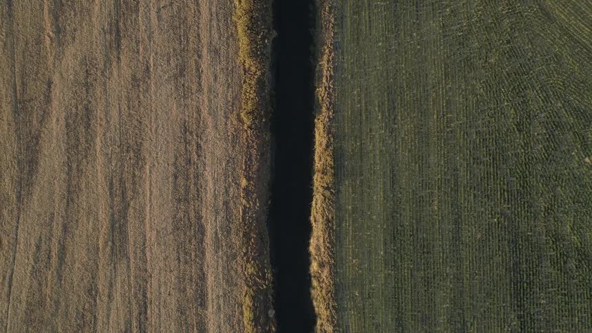 A dark trail runs through the farm