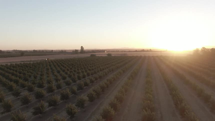 The sun is rising on the farm land