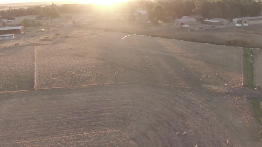 Aerial view of a farm at dawn