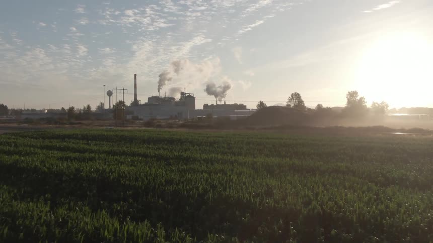 A factory with smokestacks emits thick smoke behind a vibrant green field under a bright partly cloudy sky