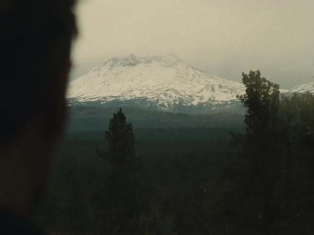 A person stands on a grassland gazing at a distant mountain blanketed in snow