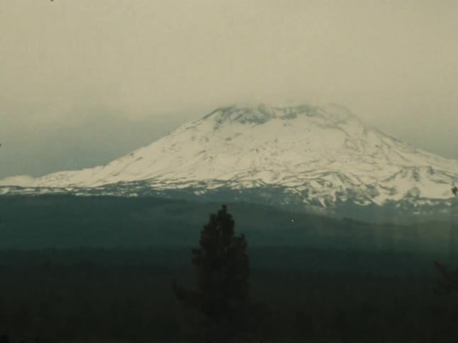 A large forest is before the snow covered mountain