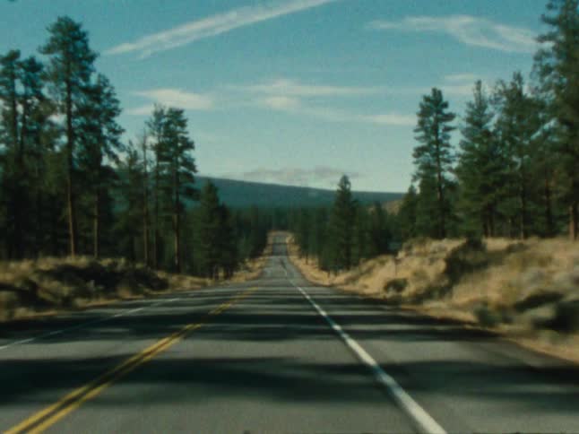 Sloping highway passes through a conifer forest on route towards a mountain during the daytime
