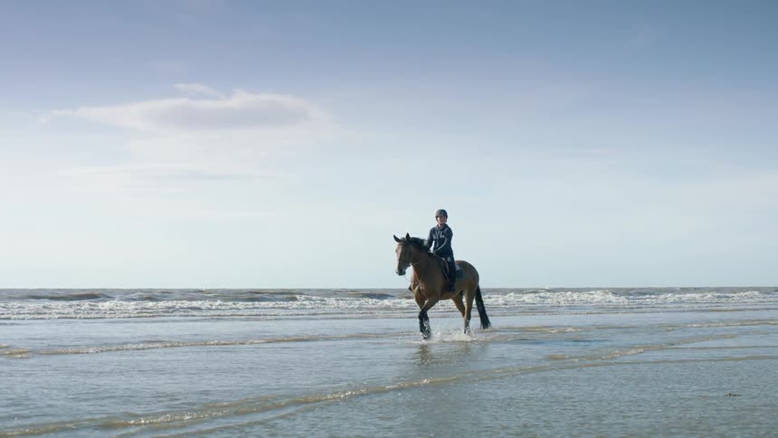 Person rides a horse on the beach