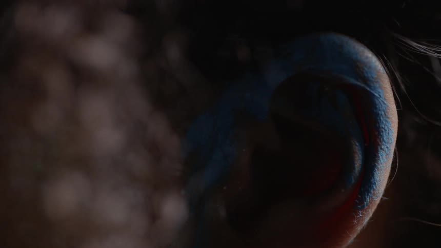 Close up of an ear with blue paint on it
