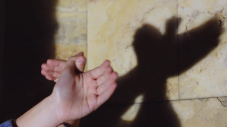 Person uses their hands to make a bird shadow puppet on a tiled wall