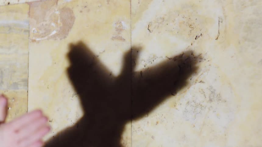 A person forms a bird shape with their hands casting a shadow on the wall using a light source