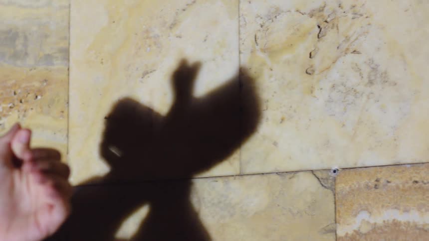 Pair of hands casting a shadow on a doveshaped wall