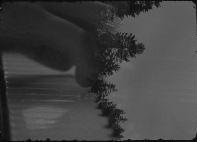 A person is playing the piano with a superimposed image of a tree moving