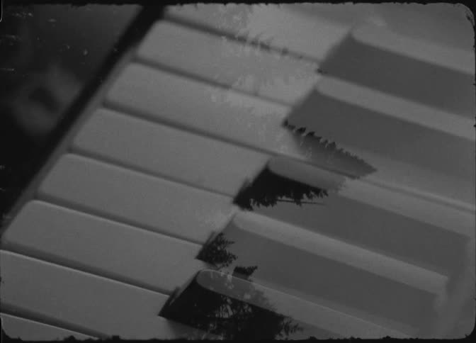 A tree is superimposed over a person playing piano