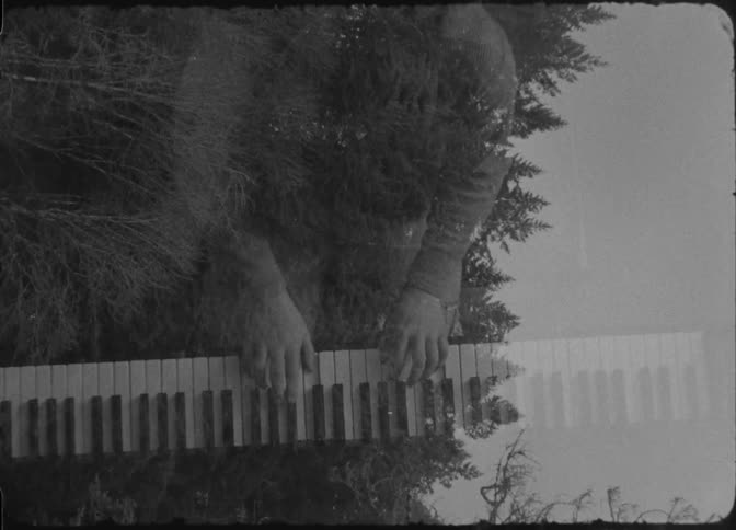 A tree is superimposed over the woman playing piano
