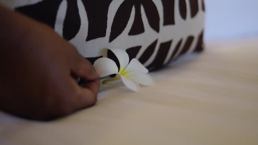 Hand placing a white flower on a surface gently