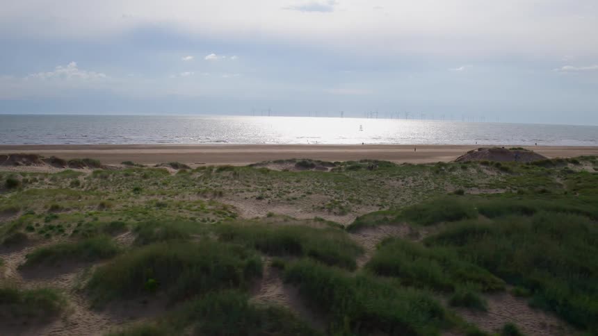 Grassy patches on an ocean beach