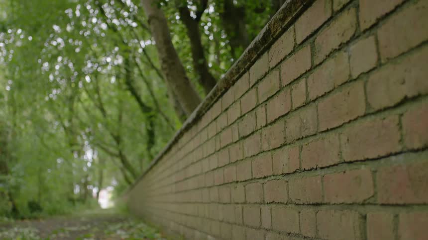 Trees hang over this brick wall