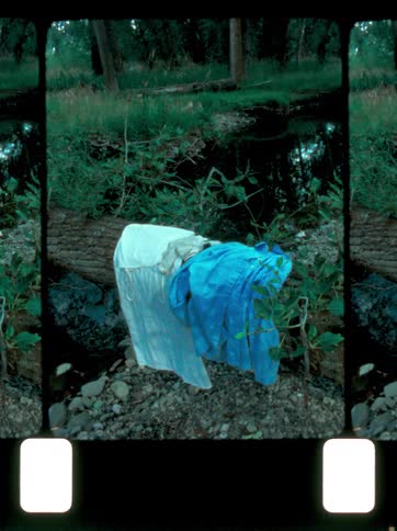 Clothes on a tree trunk next to a river