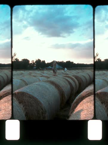 A woman and a dog running over several rolls of grass