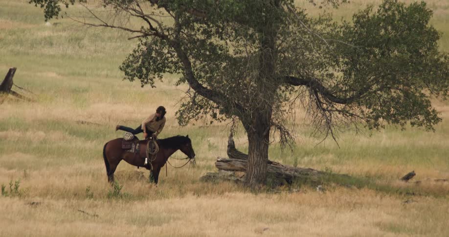 Man riding a horse through a field