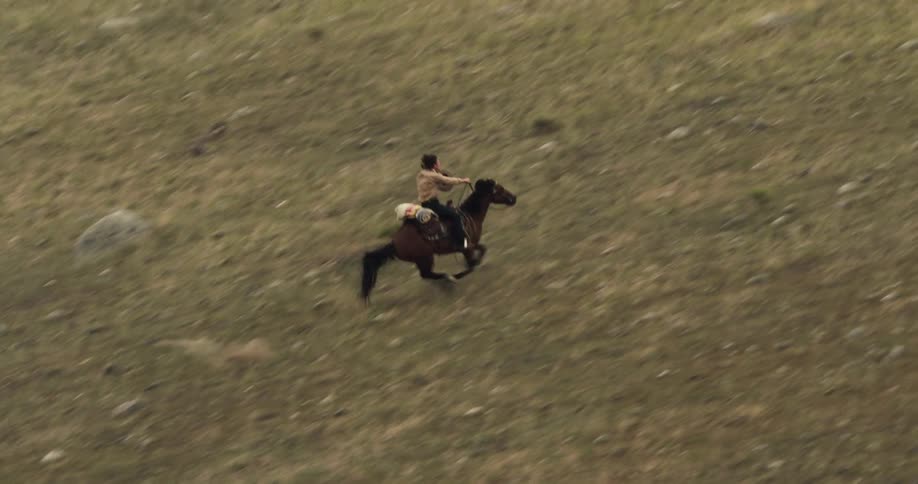 Man riding a horse at high speed through a field