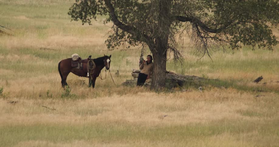 Cowboy rests under tree with horse on grassy plain