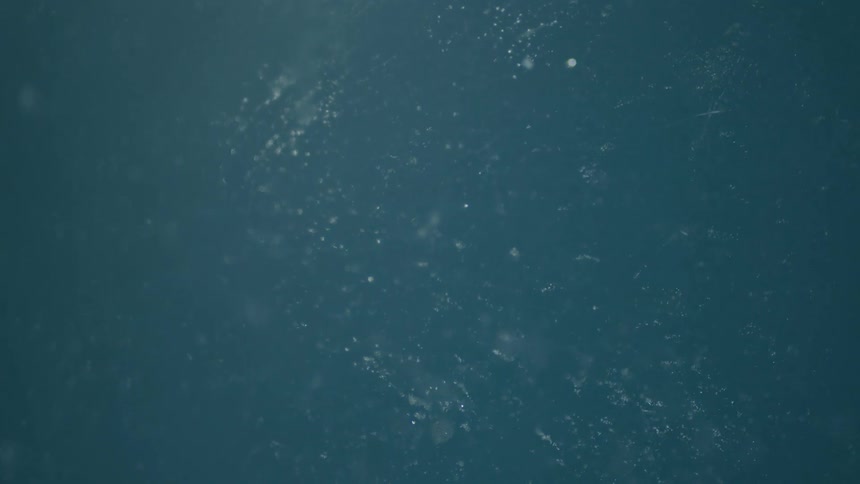 Fully submerged underwater with tiny bubbles floating around