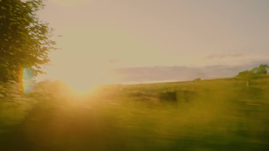 Landscape of a field and the sunrise on the horizon